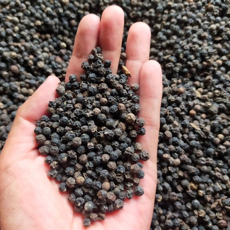 

Biji Lada Merica Hitam 250 Gram | Black pepper seeds