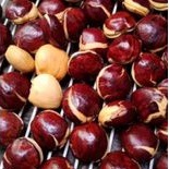 

Jengkol tua utuh (200 gram)