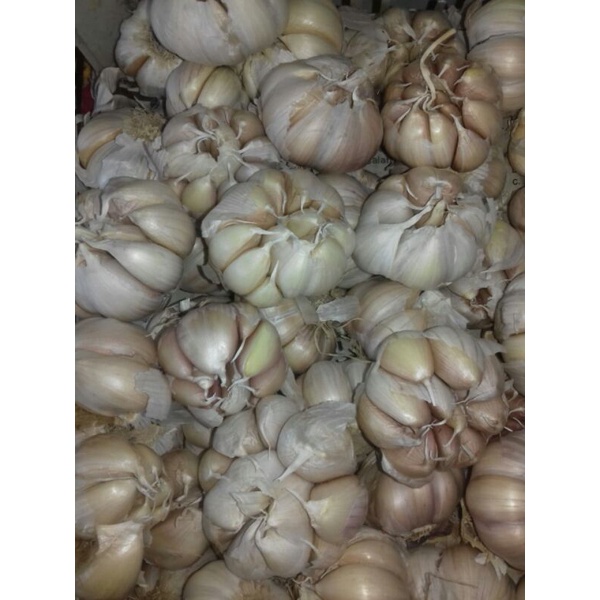 

Bawang putih 250gram