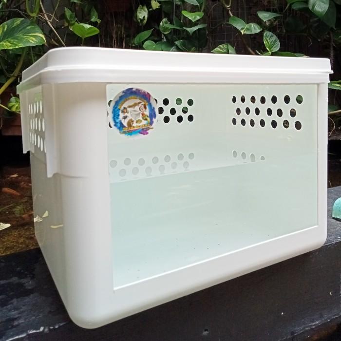 Kandang | Kura Kura Air Box
