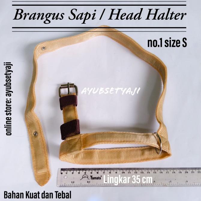 

monggo] Brangus Sapi Head Halter size S sapi kambing Tali ikat kepala sapi