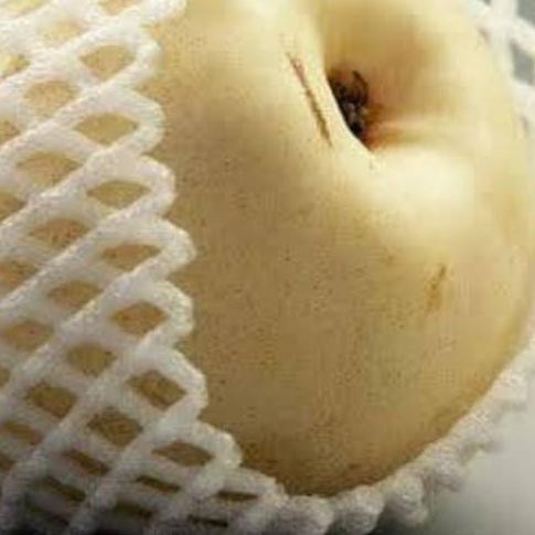 ✦ FOAM NET KECIL - FOAMNET BUNGKUS PIR BUNGKUS APEL-JARING BUAH BUSA BUAH POLINET POLYNET KEMASAN ☂