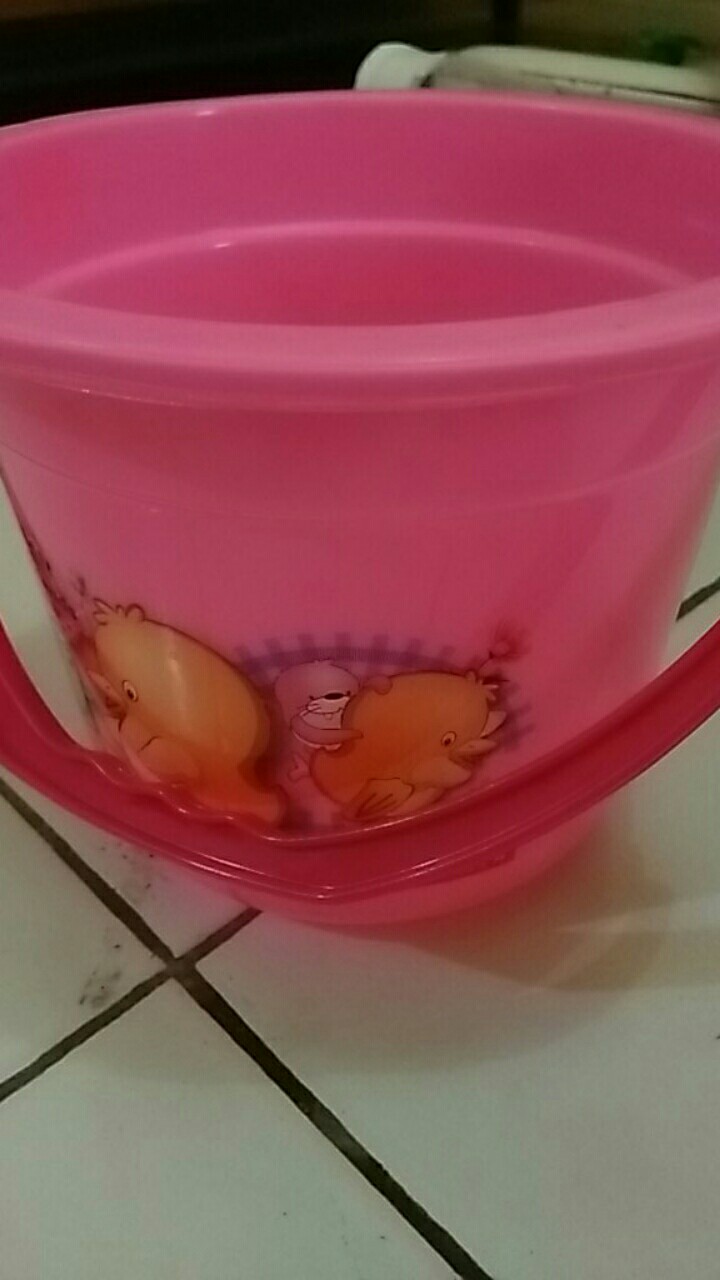 Pl-8 Pail 0.5 Gallons Ember 12 Gallons Lion Star