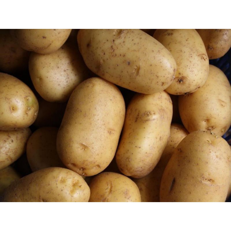 

kentang 1/2 kg