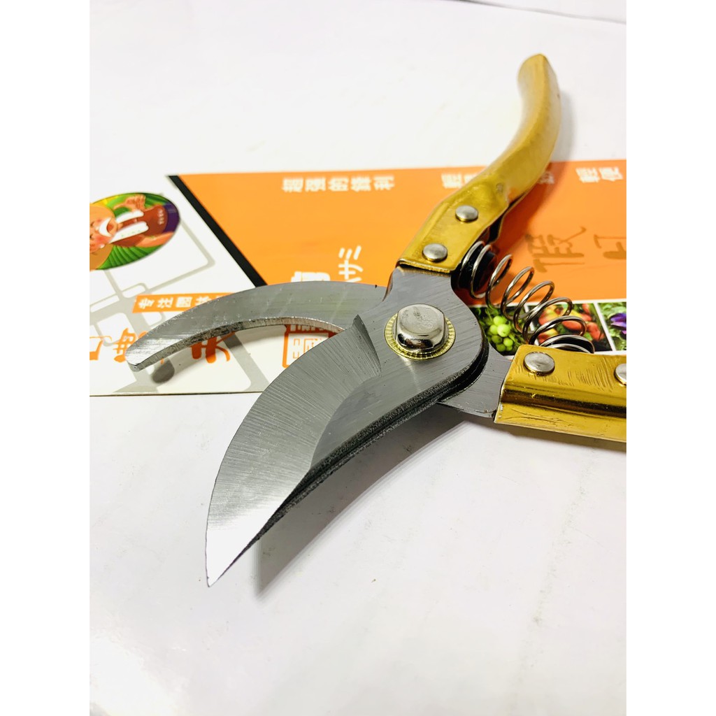 Gunting Stek Gunting Seng Gunting Taman Stainless Gunting Batang Pohon Anti Karat