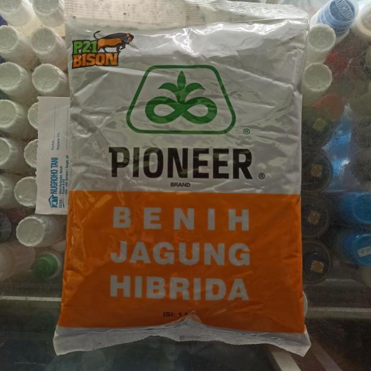 [Terbaru]BENIH JAGUNG PIONEER P21 BISON 1 KG