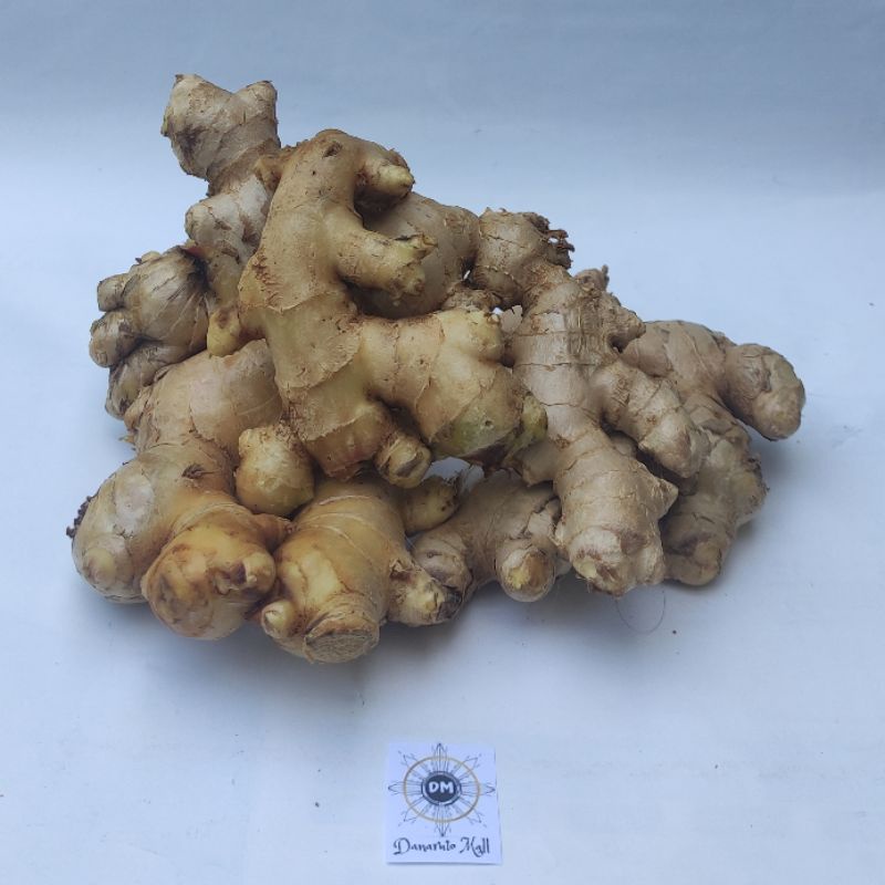 

Jahe Gajah / Jahe Putih Segar 250 gr