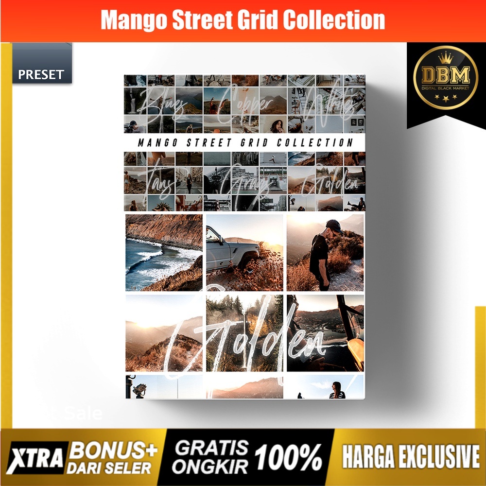 Mango Street Grid Collection - Lightroom