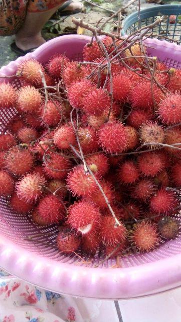 Kunci Laci 808 Kecil Asli/kunci Laci ( Tipe 101 Kecil)