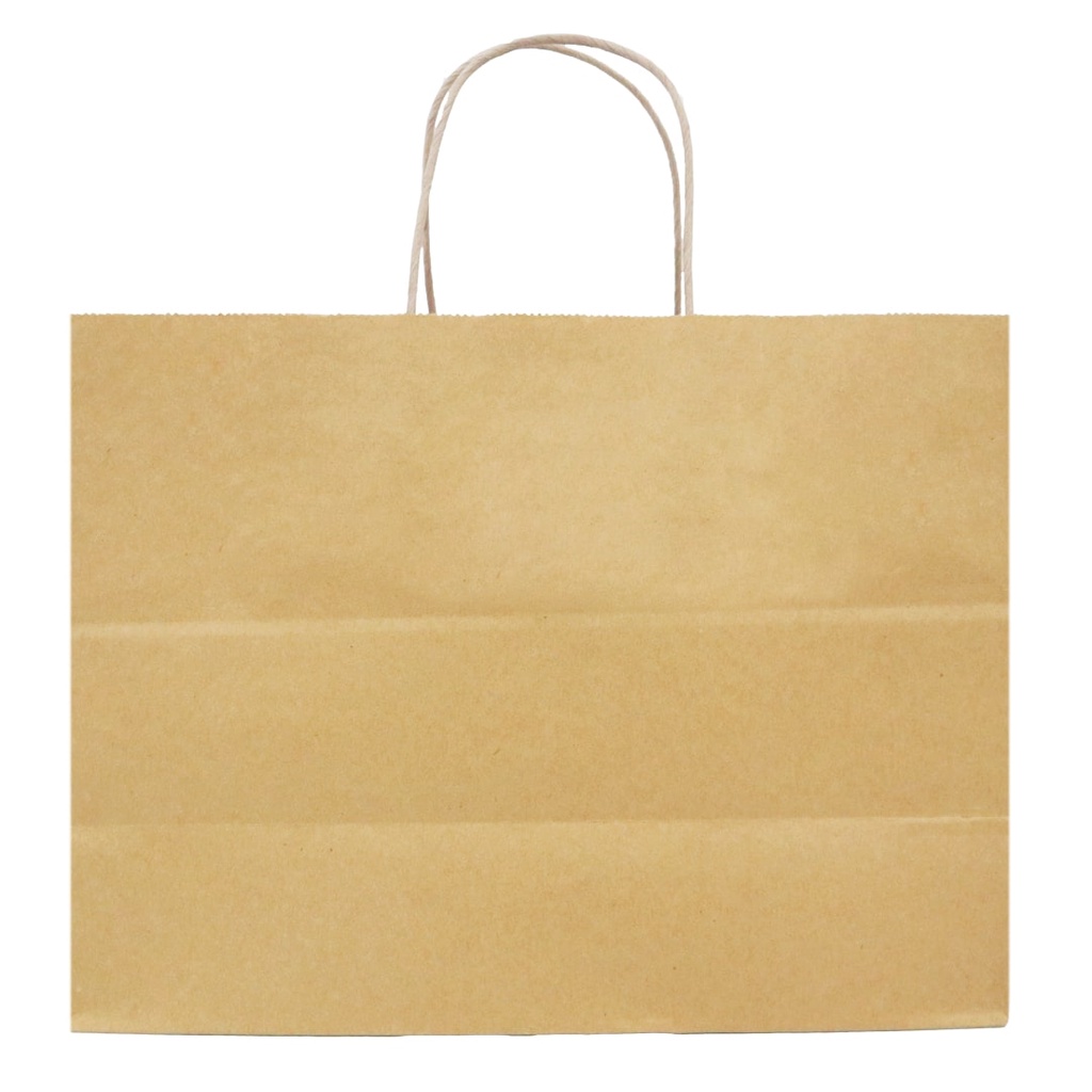 Paper Bag Tas Belanja Shopping Bag (SBG4-25X15X30.5)