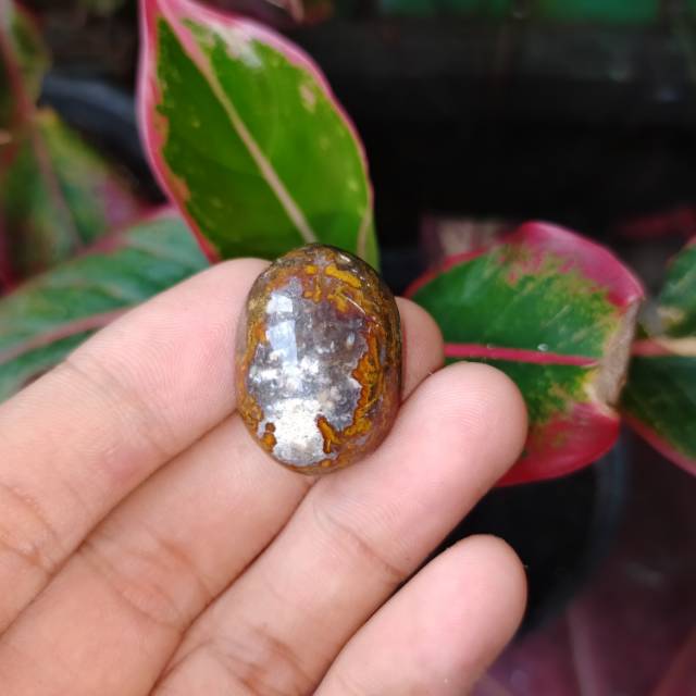 Batu akik antik pancawarna (batu cincin) natural alam batu akik permata akik murah batu alam