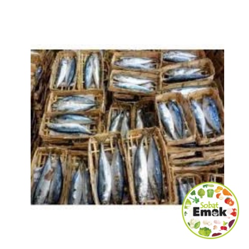

Ikan Pindang Keranjang 2 Ekor