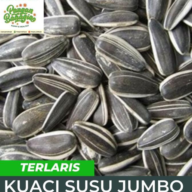 

TERMURAH Kwaci kuaci bunga matahari JUMBO Rasa Susu 250gr AP030