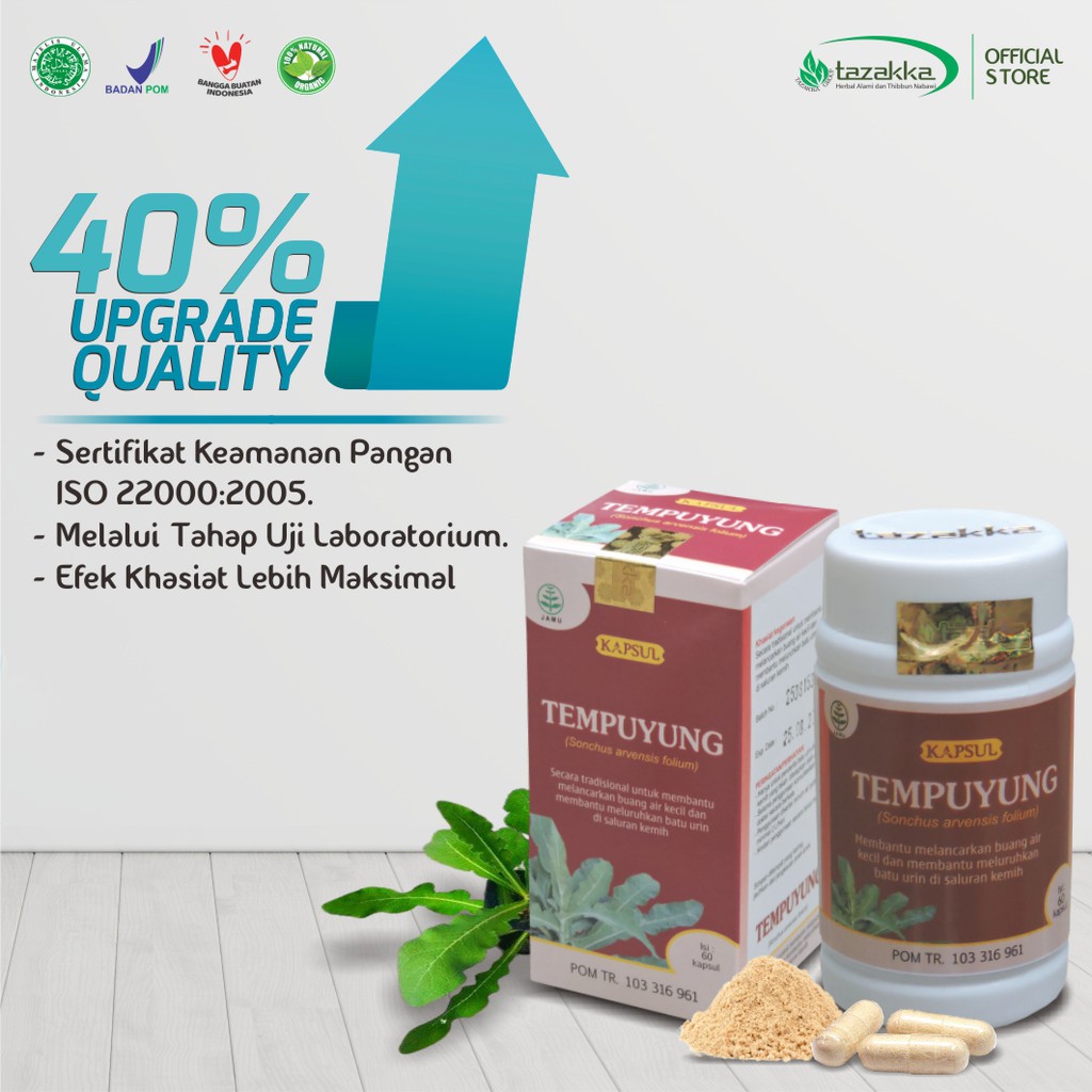 Obat batu ginjal | Kapsul Herbal TEMPUYUNG Tazakka isi 60 Kaps | Obat Peradangan yang BPOM ORIGINAL