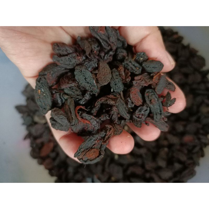 

Dried Garcinia / Asam Kandis Kering / Rempah Rempah Pontianak / Bumbu Masak