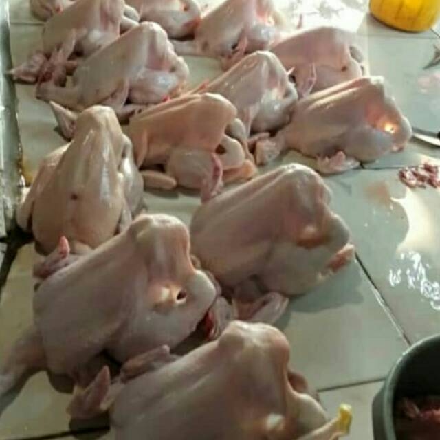 

Jual ayam utuh bisa juga dipotong , harga murah meriah