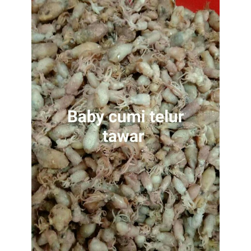 Baby cumi bertelur tawar 1/4kg