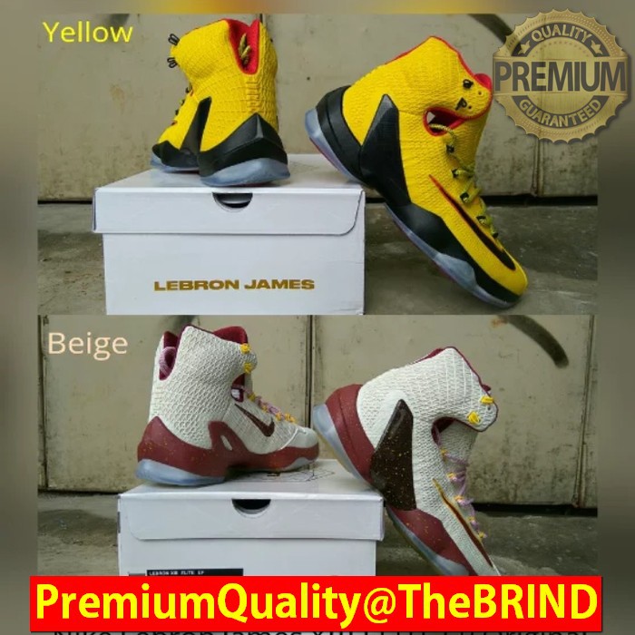 Nike Lebron James XIII ELITE EP Original BNIB - Sepatu Basket