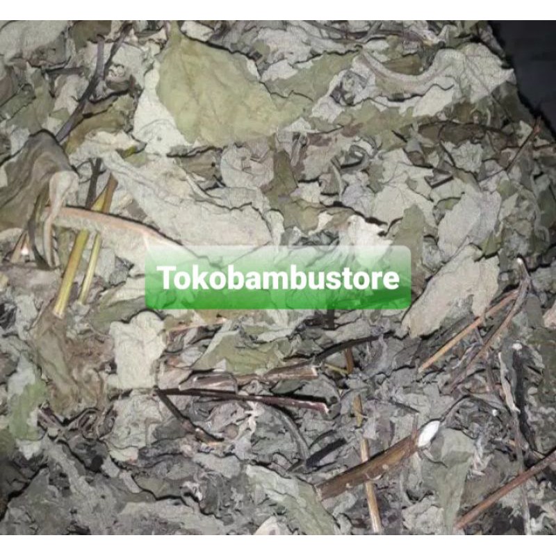 

Daun insulin atau kipahit kering 500 gram-az