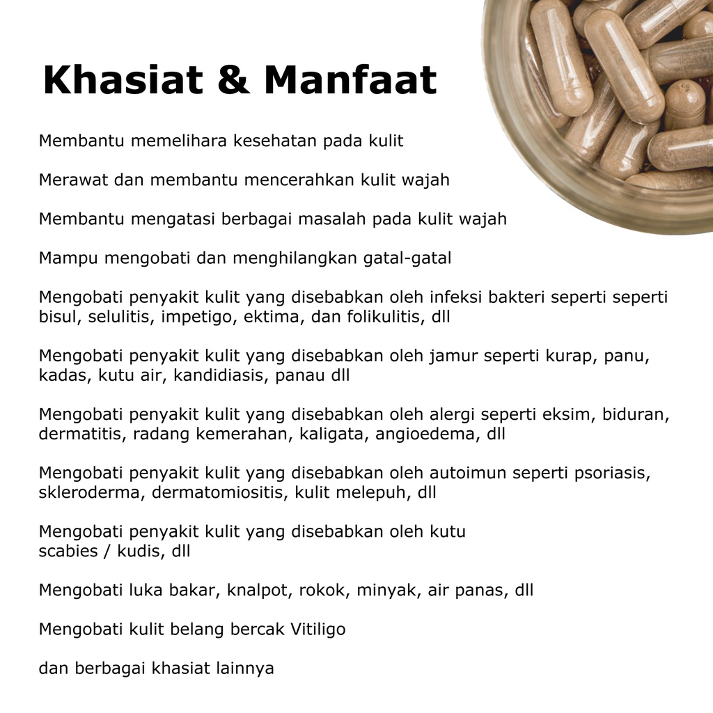 Penghilang Gatal di Punggung Panu Kurap Paling Alami Obat Alergi Gatel Kulit Herbal Penghilang Jerawat Biduran Bintik Gatel Jamur Kulit Benjolan Suplemen Kesehatan Ekstrak Binahong PROSKIN Tanpa Efek Samping Salep Cream Alat Pijat Garuk Menggaruk Punggung-2