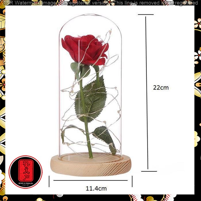 Bunga Mawar Lampu LED Dekorasi Beauty and The Beast Rose