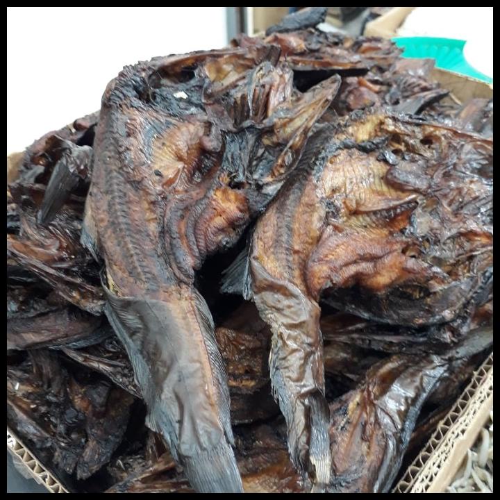 

DISKON TERBATAS !!! IKAN SALE/LELE ASAP TERLARIS