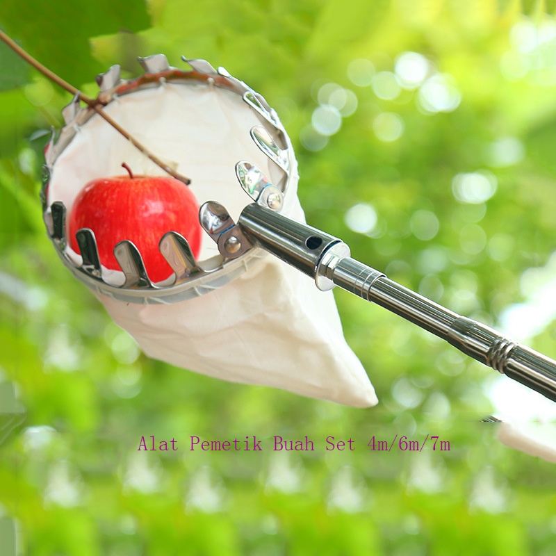 Buah Picker Set 4 m/6 m/7 m Orchard Berkebun Apple Peach Pohon Tinggi Alat Pemetik Buah Penangkap Koleksi Kantong Pertanian Taman Perlengkapan Logam