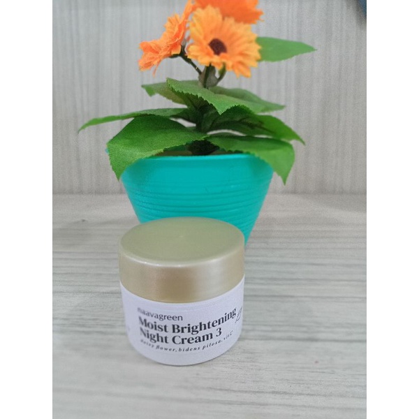 NAAVAGREEN - MOIST BRIGHTENING NIGHT CREAM 3