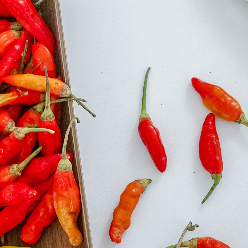 

Cabe rawit merah 100 gr - Locarvest