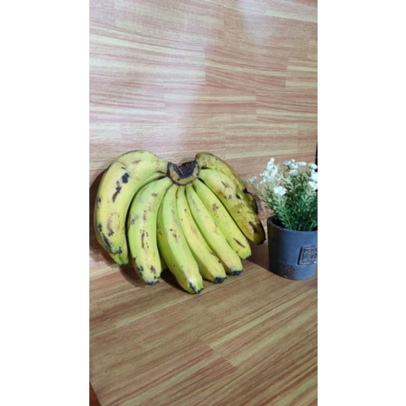 

AKENA BUAH Pisang Ambon (Termurah)