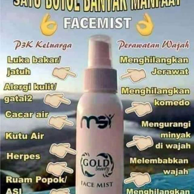 Face Mist MSI