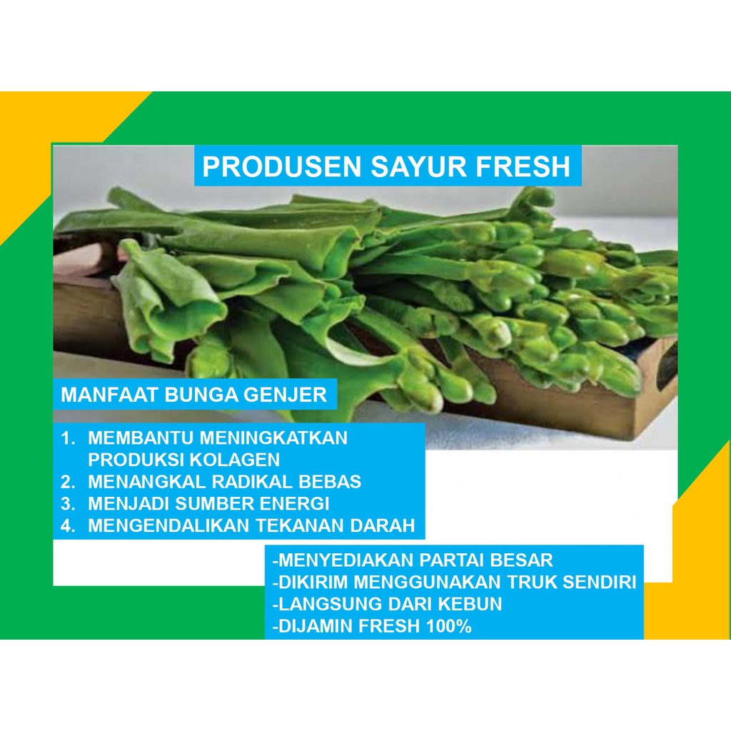 

Bunga Genjer Fresh Asli Langsung Dari Petani