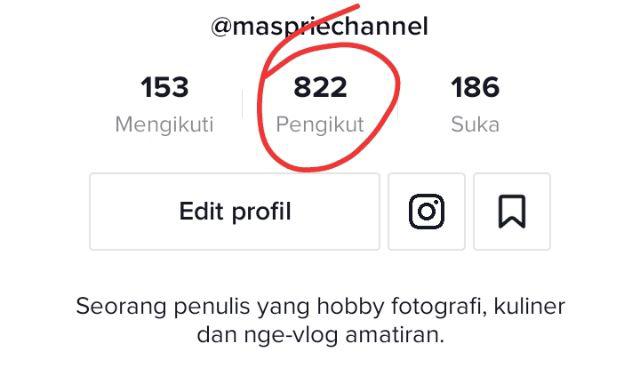 Followers Tiktok Premium