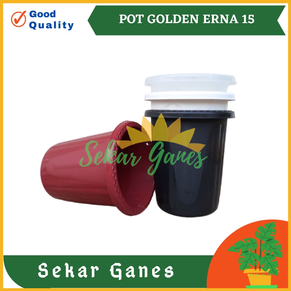 Pot GE15 Golden Erna 15 Putih Bening Transparan Hitam Merah Bata Coklat Terracota Terracotta Garden Of Love Mirip Pot Yogap Ypt 10 13 15 Putih Coklat Merah Bata Bening Transparan Pot Yogap 17 18 19 Pot Yogap Murah Pot Bunga Tinggi Pirus Tegak Bagus Tebal