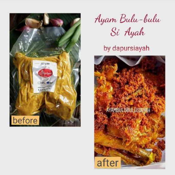 

AYAM BULU-BULU SI AYAH