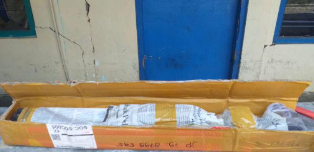 Promo 10  Bibit Bidara 15 20 Cm