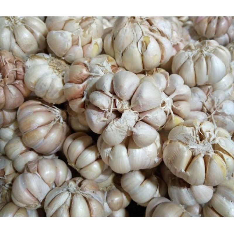 

Bawang putih - 250 gram