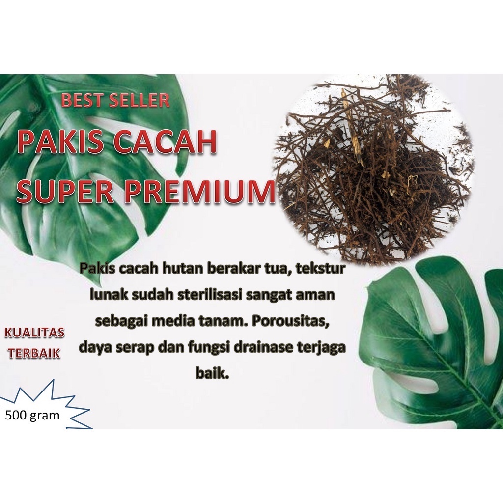 Media Tanam Akar Pakis Cacah Baik Untuk Tanaman Media Tanam Pakis Cacah Fermentasi