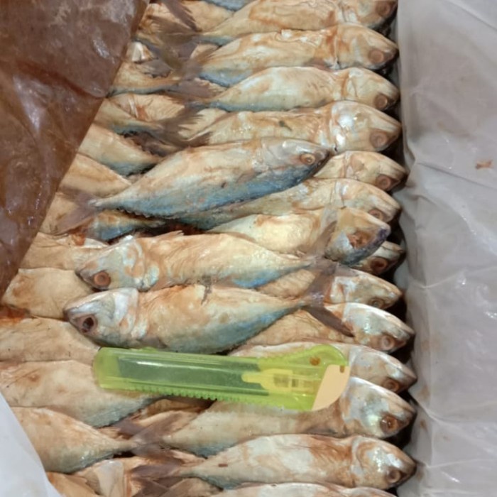 

10cscss Ikan Asin Peda Merah Tanggung Per 500Gr Dscscv
