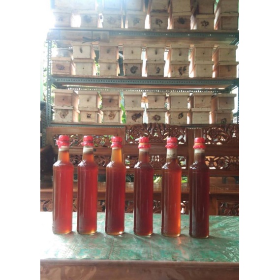 

Madu Klanceng Trigona (1000 ml)