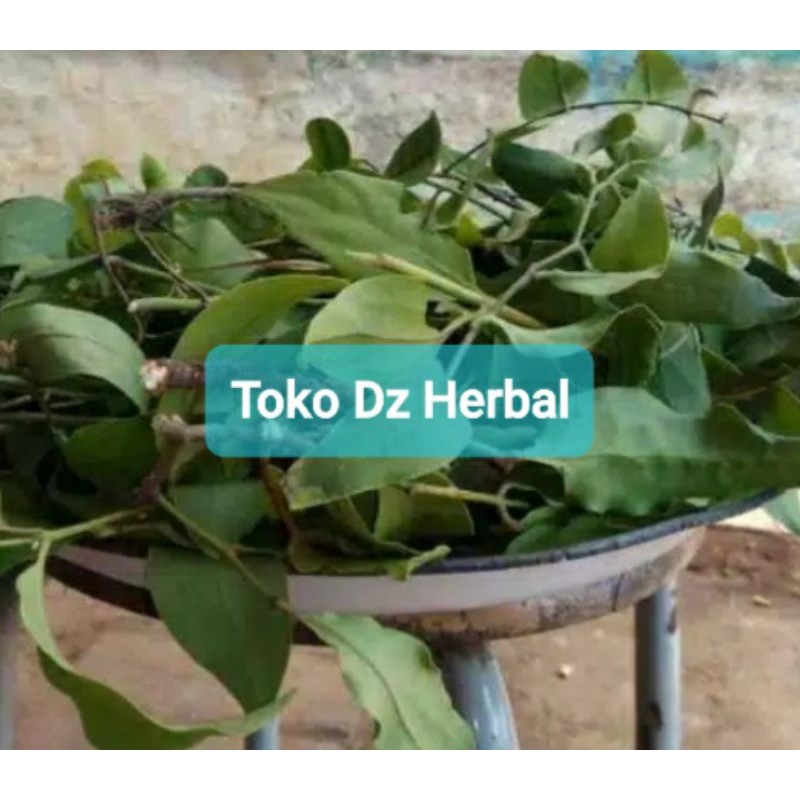 

1 kg benalu jeruk nipis segar murah asli fresh-az