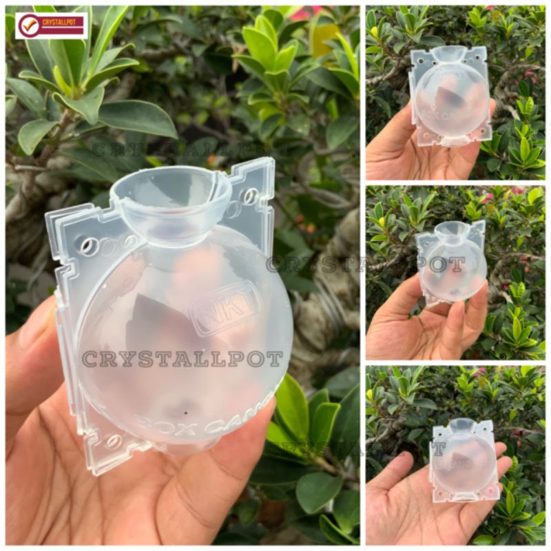 Tempat pot wadah nkt box media cangkok 5 cm bening - SATUAN MINI