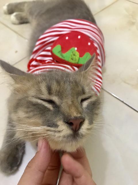 Gantungan Baju Pakaian Cloth Wonder Hanger Organizer