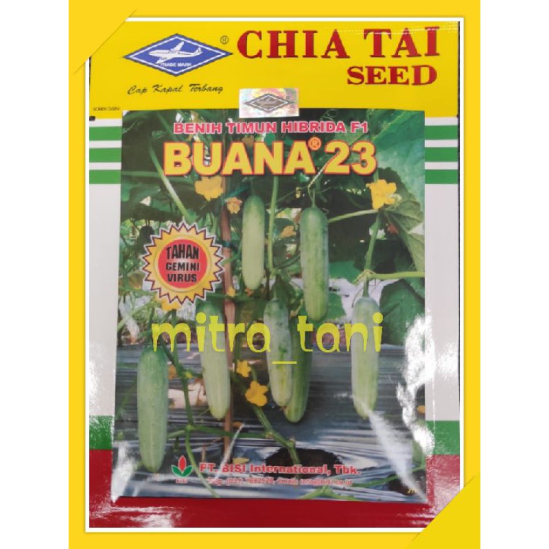 benih timun baby ketimun lalap hibrida f1 BUANA 23 20gram dari CAP KAPAL TERBANG
