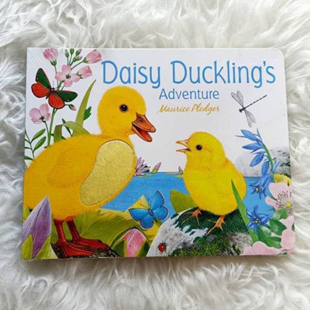 Daisy Duckling's Adventure