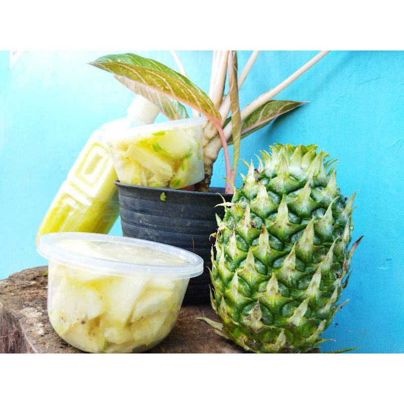 

1 kg nanas muda pelancar haid obat herbal