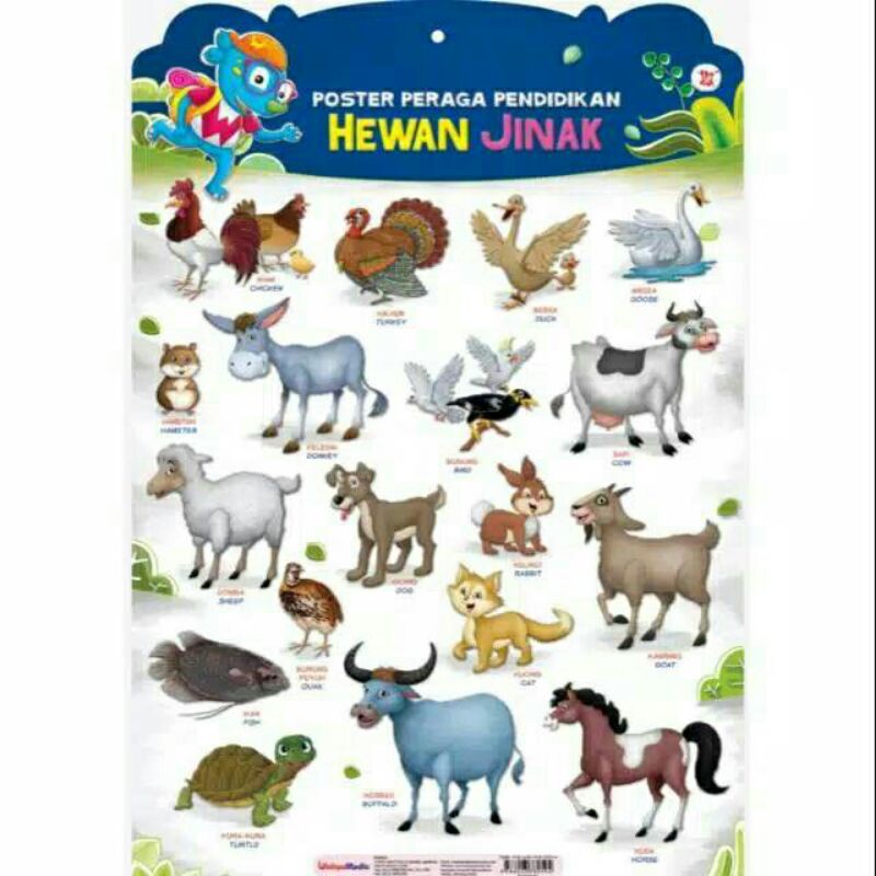 Poster peraga pendidikan hewan jinak