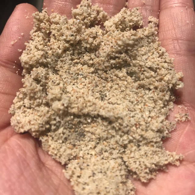 Pasir laut halus asli kiloan