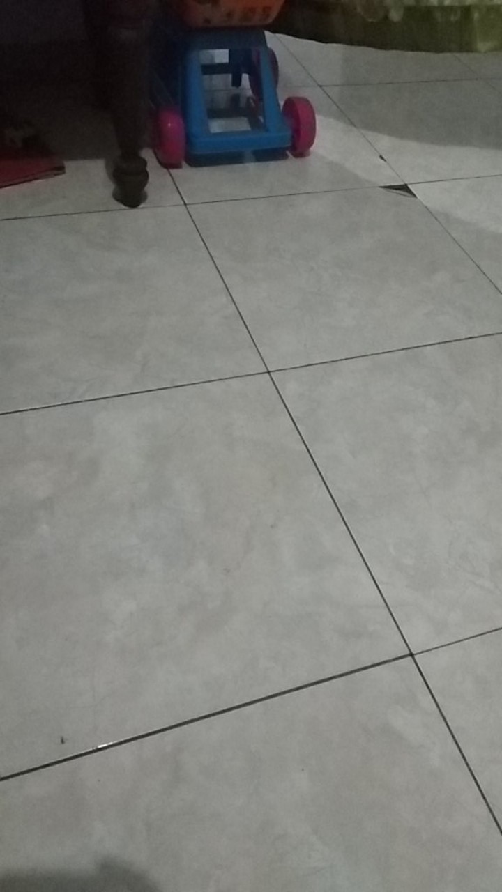 Thinwall Persegi Panjang(rectangle) 500ml/tempat Salad/box Nasi