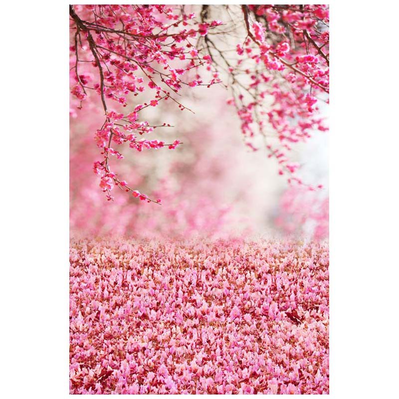 30 Background Foto  Warna  Pink  Gambar  Kitan